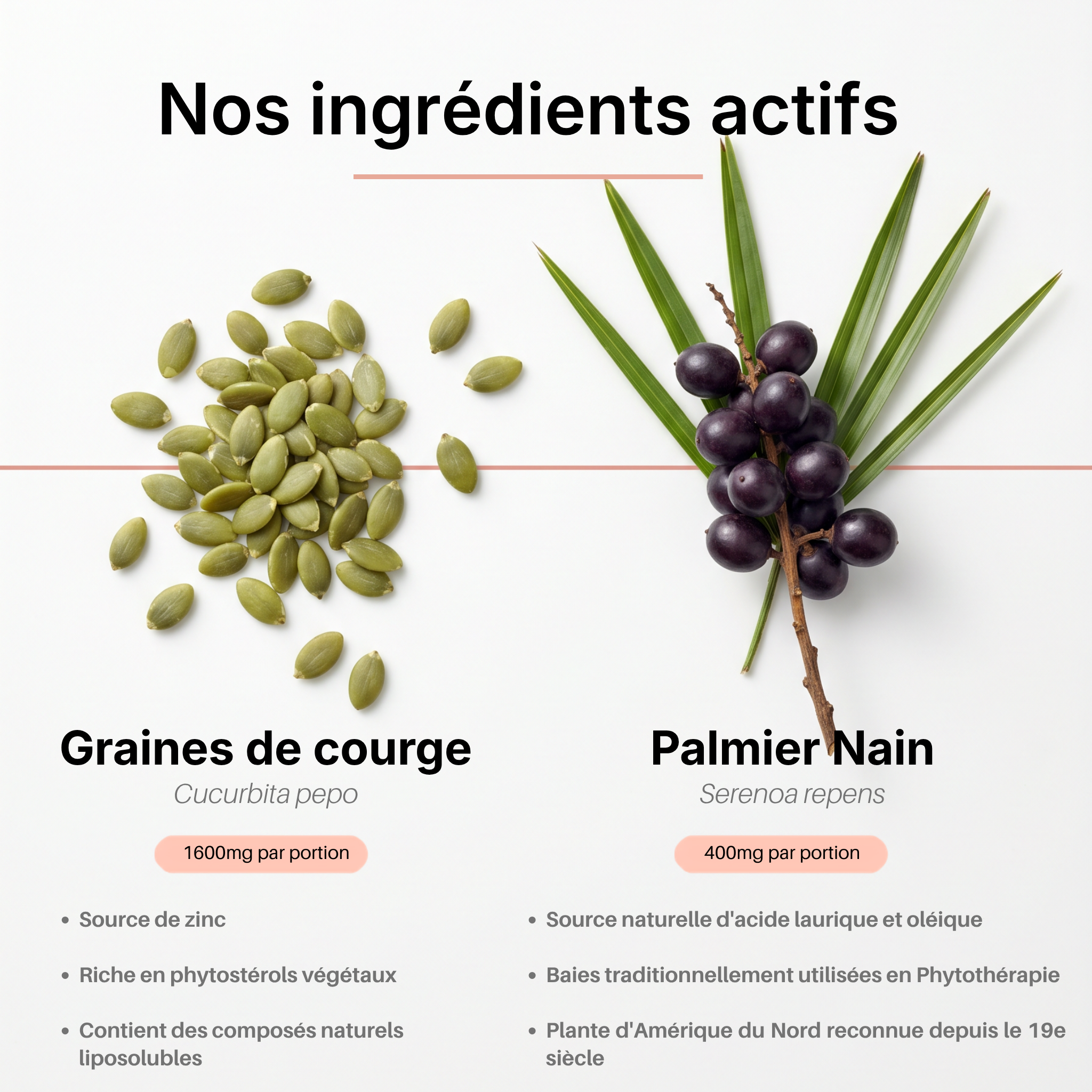 Gélules à l’huile de graines de courge – Cheveux forts & densité naturelle