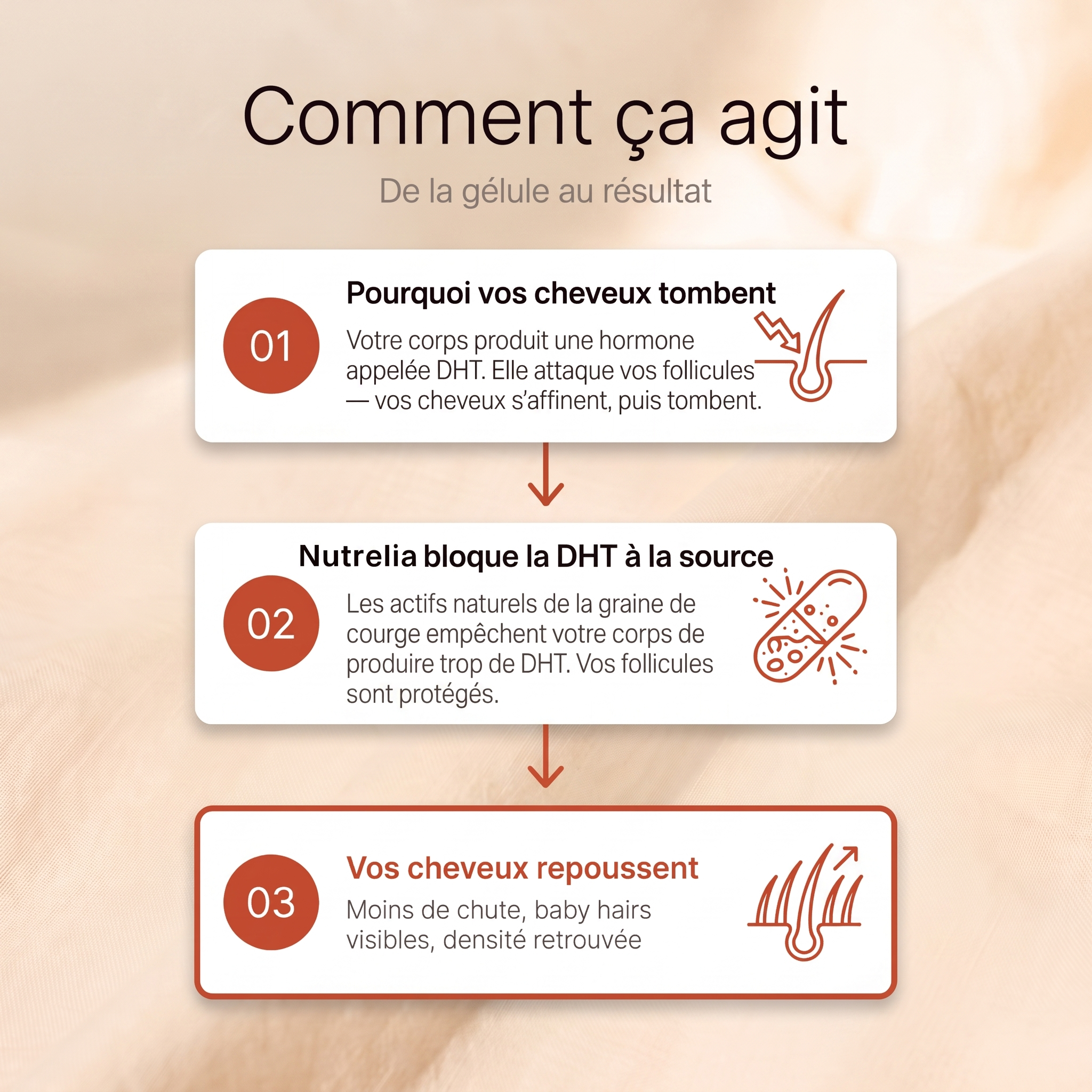 Gélules à l’huile de graines de courge